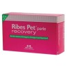 Ribes Pet Recovery 60 perle cani gatti