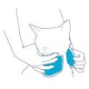 Collare Rigido ortopedico per gatto Bt Neck