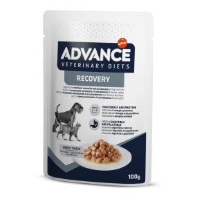 Advance Vet Diets Recovery umido Cani