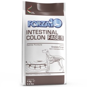 Forza 10 Active Cane Intestinal Colon Fase 1