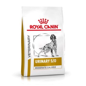 Royal Canin Urinary S/O Moderate Calorie Croccantini per Cani Adulti