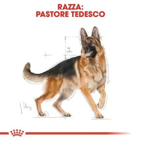 Royal Canin Pastore Tedesco...