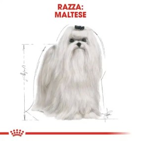 Royal Canin Maltese Adult...