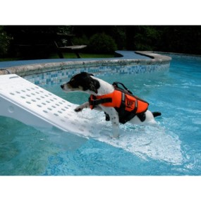Rampa Risalita per cani da barca o piscina