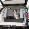 Trasportini per Auto per cani