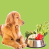 Alimenti Vegetariani per cani