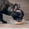 Alimenti umidi per cani Adulti