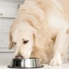 Alimenti umidi Light e Senior per cani
