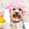 Igiene e Bellezza per cani